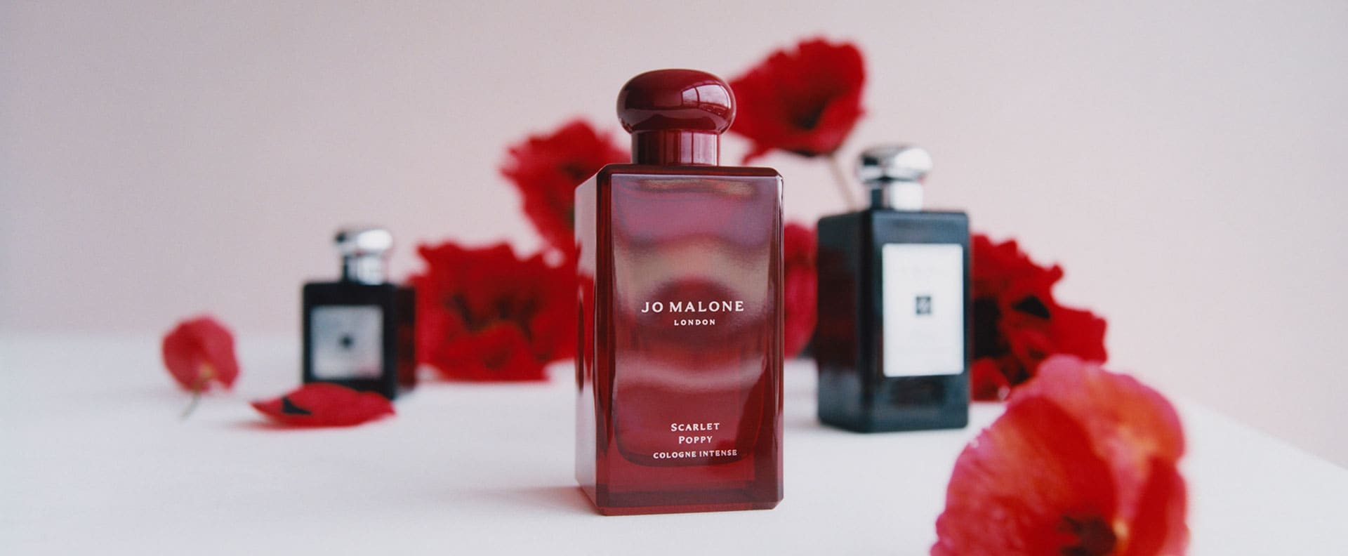 Scarlet Poppy Cologne Intense | Jo Malone London Official Online Store